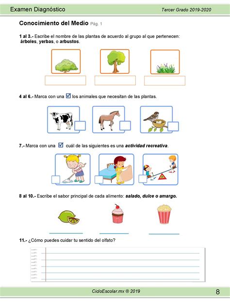 Examen DiagnÓstico Tercer Grado 2019 2020página08 Imagenes Educativas