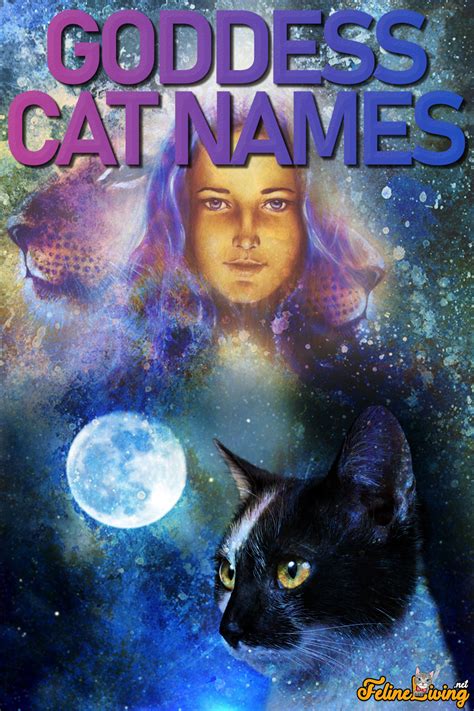 64 Goddess Cat Names For Your Amazing Feline Buddy