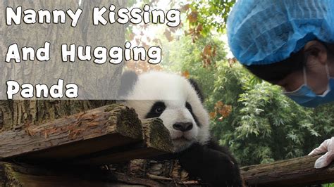 Nanny Kissing And Hugging Panda Ipanda Youtube