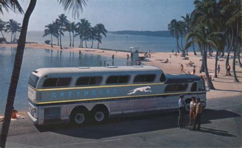 Greyhound Super Scenicruiser Buses Postcard