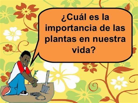 La Vida Es Bella La Importancia De Las Plantas