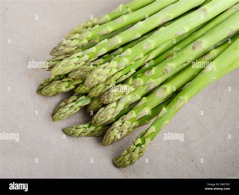 Fresh Green Asparagus Spears Hi Res Stock Photography And Images Alamy