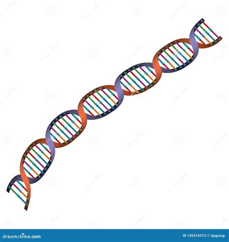 Diagonal Dna Chain Science Colorful Icon Stock Vector Illustration Of