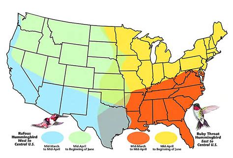 30 2018 Hummingbird Migration Map Online Map Around The World