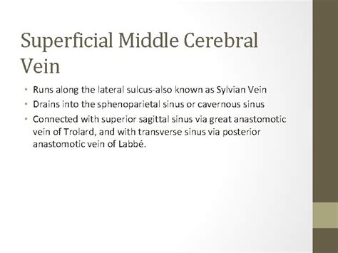 Cerebravascular Anatomy Venous Systempathologies Eyll Yeral The Cerebral