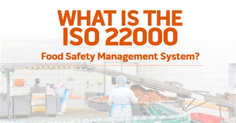What Is The Iso 22000 Food Safety Management System Standard Vector