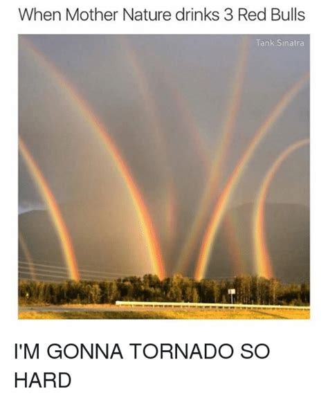 This means you have a severe thunderstorm in your area that could possibly spawn a tornado. 🔥 25+ Best Memes About Tornado | Tornado Memes