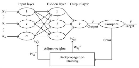 Feed Forward And Back Propagation Neural Network Structure Download