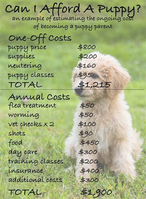 How much do puppy shots cost is a common concern for new pet parents.we list our top sites to buy pet meds online. How Much Does A Dog Cost The Costs Of Buying And Owning A Dog