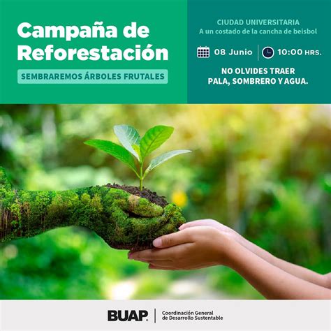 campaña de reforestación benemérita universidad autónoma de puebla