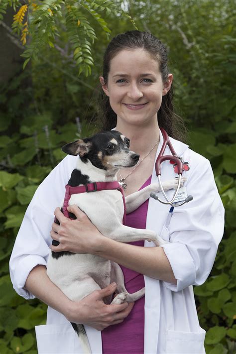 Shannon Layne, DVM and VCA Dunmore Animal Hospital Now Offer Stem Cell