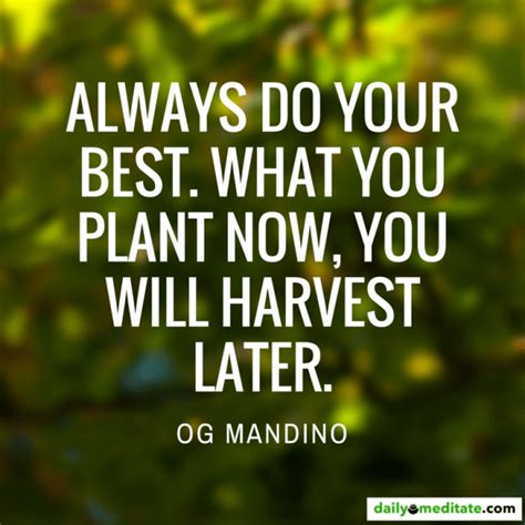Meditation Quote 90 Always Do Your Best What You Plant Now You Will