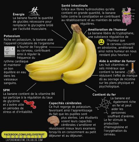 les bienfaits de la banane alimentation et santé aliments bons pour la santé banane bienfaits