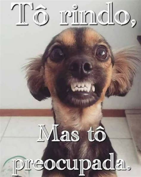 38 Fotos Engraçadas De Pessoas E Animais Com Memes E Frases 2021