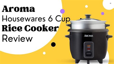Aroma Housewares Cup Rice Cooker Arc Ngb Review Youtube