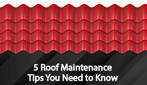 5 Roof Maintenance Tips You Need To Know Infographic