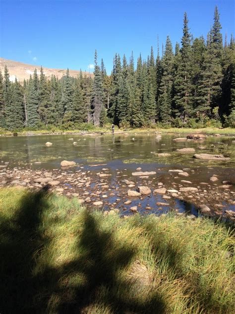 The rules for dispersed camping are pretty similar for all national forests in the us. Rainbow Lakes Dispersed Camping - Nederland, Colorado ...