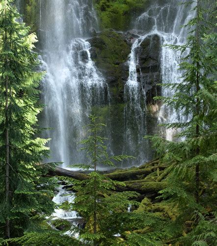 Upper Proxy Falls Oregon Mysite