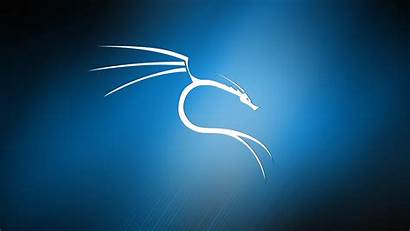 Linux Kali Background Wallpapers Cc Cool Dragon