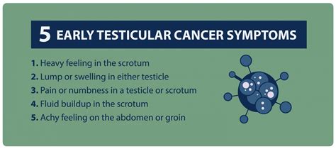 01 5 Early Testicular Cancer Symptoms 01 Northwest Primary Care