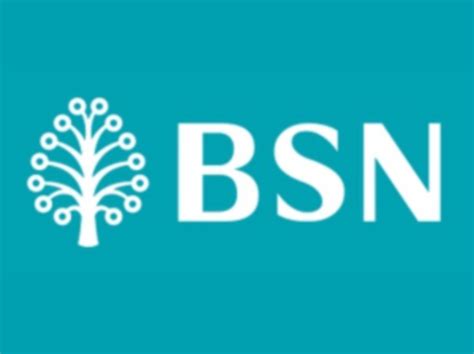 Bank simpanan nasional (bsn) air molek, melaka. BSN SSP 2017 penuhi impian penyimpan bergelar jutawan ...