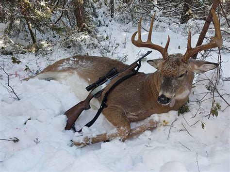 The Biggest Maine Whitetail Buck Of 2018 Field And Stream