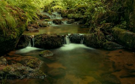 Download Wallpaper 2560x1600 River Cascade Water Trees Widescreen 16