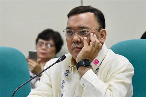 Harry Roque drops Senate bid to run for party-list rep