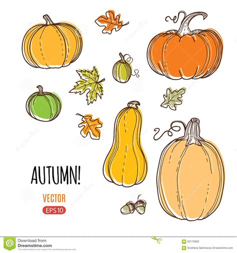 Autumn Vector Harvest Template Stock Vector Illustration