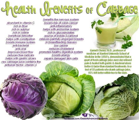 Health Benefits Of Cabbage Cabbage Health Benefits Cabbage Benefits