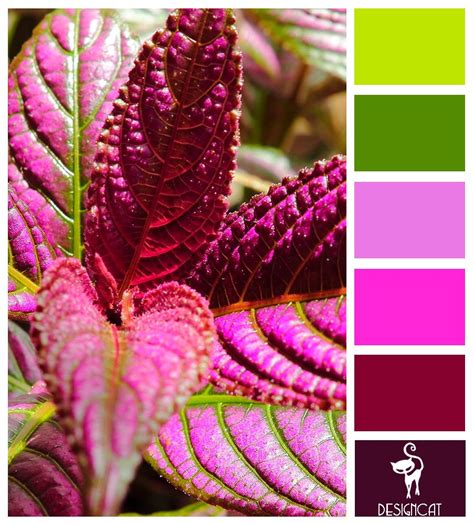 Png image of what to do with mauve color palette. Purple Leaf: Mauve, Plum, Cerise, Pink, Pastel, Green ...