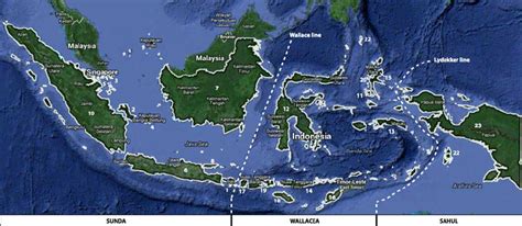 Map Of Indonesia Including The 23 Islands Considered In The Present