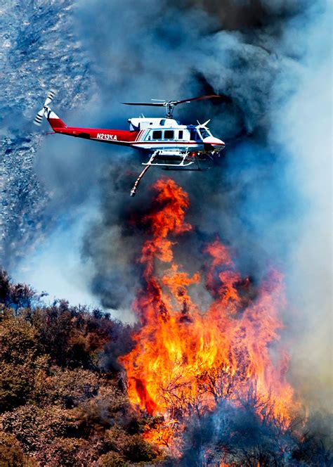 Forest Fire Research Questions The Wisdom Of Prescribed Burns The New