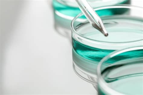New products are coming to plant cell technology! PLANT STEM CELL TECHNOLOGY