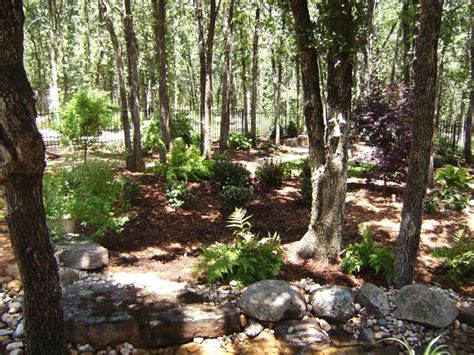 Wooded Backyard Landscape Backyard Landscaping Designs Garden In The