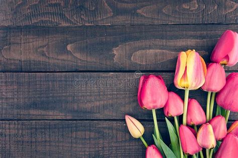 Photo About Frame Of Tulips On Dark Rustic Wooden Background Spring