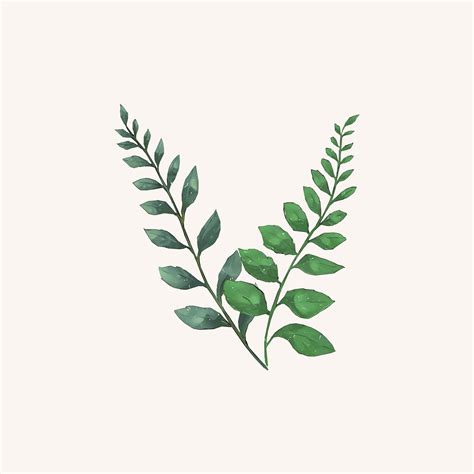 Illustration Of Green Leaf Watercolor Style Download Free Vectors