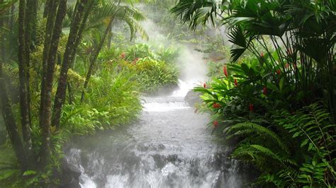 Waterfall Stream Between Trees And Plants Covered Jungle During Daytime