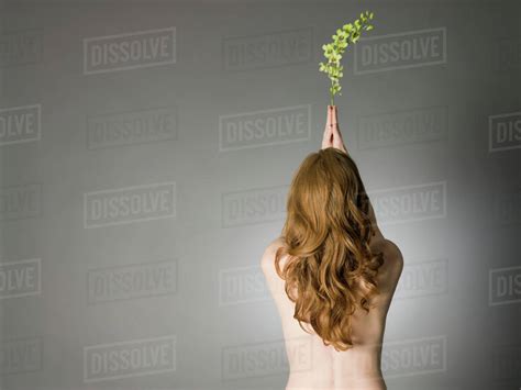Rear View Of Nude Caucasian Woman Holding Leaves Stock Photo Dissolve