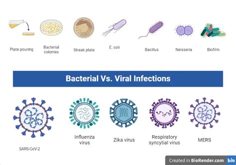 Bacterial Vs Viral Infections Similarities And Differences Microbe
