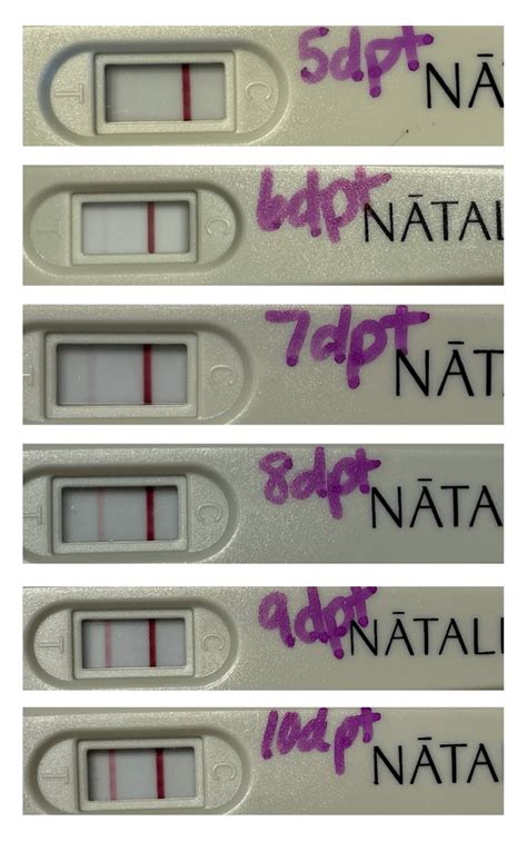 Pregnancy Test Results After A Frozen Embryo Transfer Natalist