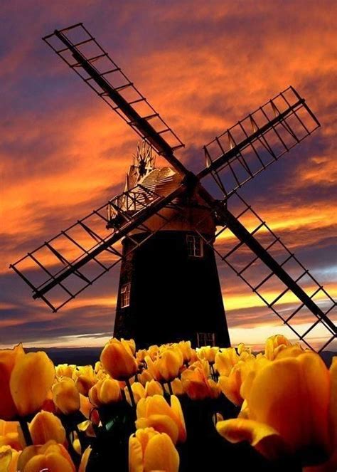 Windmills In Holland The Netherlands 美しい風景 絶景 世界の不思議