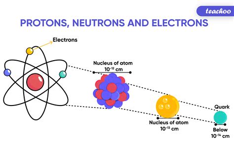Nucleons Atomic Number And Mass Number Definitions And More