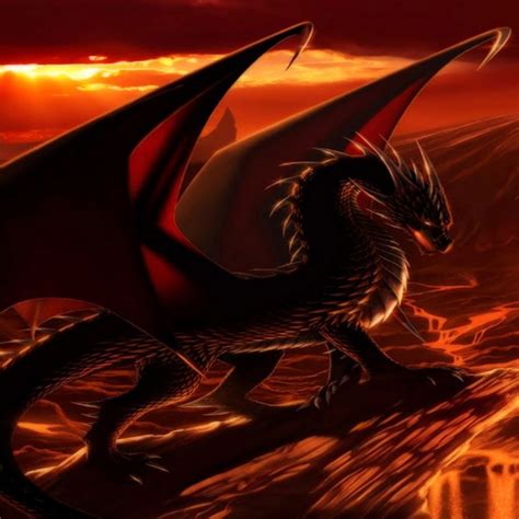 10 Best Cool Fire Dragon Wallpaper Full Hd 1080p For Pc