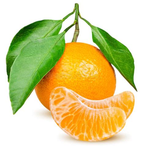 One Whole Tangerine Fruit With Leaves And Peeled Citrus Segments