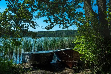 Boats At A Hidden Lake In Brandenburg Stock Photo Image Of Plant