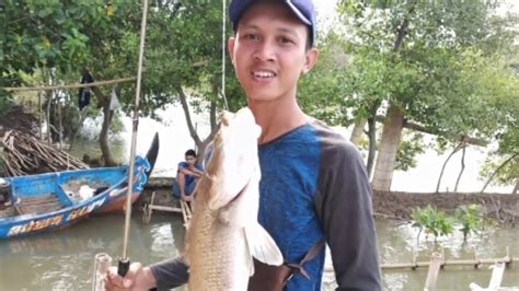 It is one of the six water village mukims. Mancing asik di Muara sungai mangkang - YouTube
