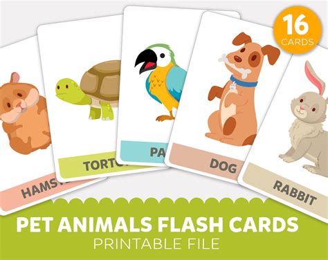 Pet Animals Flashcards Pets Flashcards Printable Animals Flash Etsy