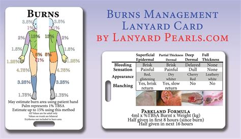 Burns Lund And Browder Chart Lanyard Card