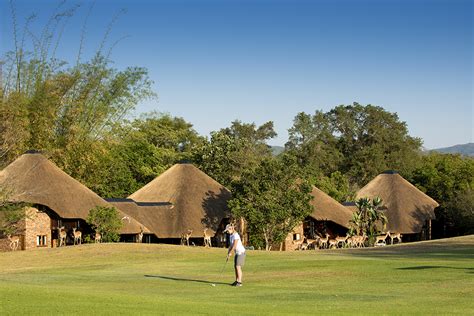 Kruger Park Lodge Rates And Prices Safari Travel Plus